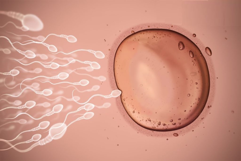 L Infertilité Masculine Quels Sont Les Causes Et Les Traitements Possibles